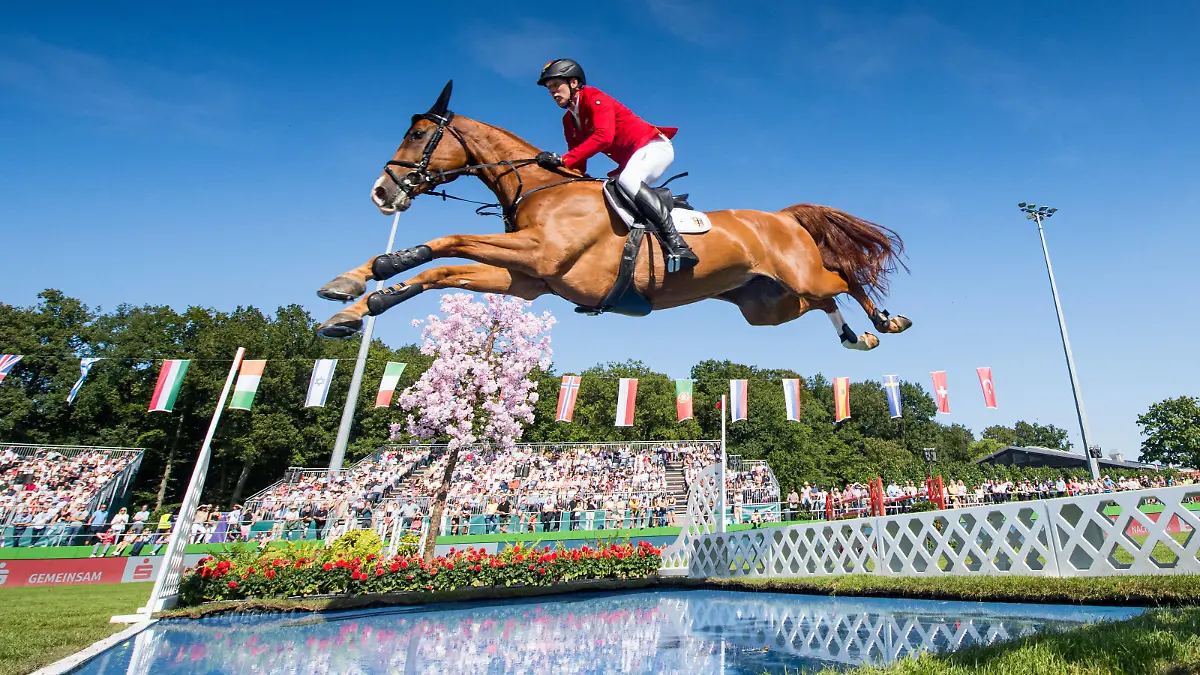 Pferdesport, Springreiten EM in Riesenbeck 210905 Andre Thieme of Germany with horse DSP Chakaria competes during the individual final on day 5 of the Equestrian FEI Jumping European Championship, EM, Europameisterschaft on September 5, 2021 in Riesenbeck. Photo: Petter Arvidson / BILDBYRAN / kod PA / PA0268 fei jumping european championship ridsport equestrian horse jumping jumping bbeng hoppning hästhoppning em *** 210905 Andre Thieme of Germany with horse DSP Chakaria competes during the individual final on day 5 of the Equestrian FEI Jumping European Championship on September 5, 2021 in Riesenbeck Photo Petter Arvidson BILDBYRAN kod PA PA0268 fei jumping european championship ridsport equestrian horse jumping jumping bbeng hoppning hästhoppning em, PUBLICATIONxNOTxINxSWExNORxAUT Copyright: PETTERxARVIDSON BB210905PA169