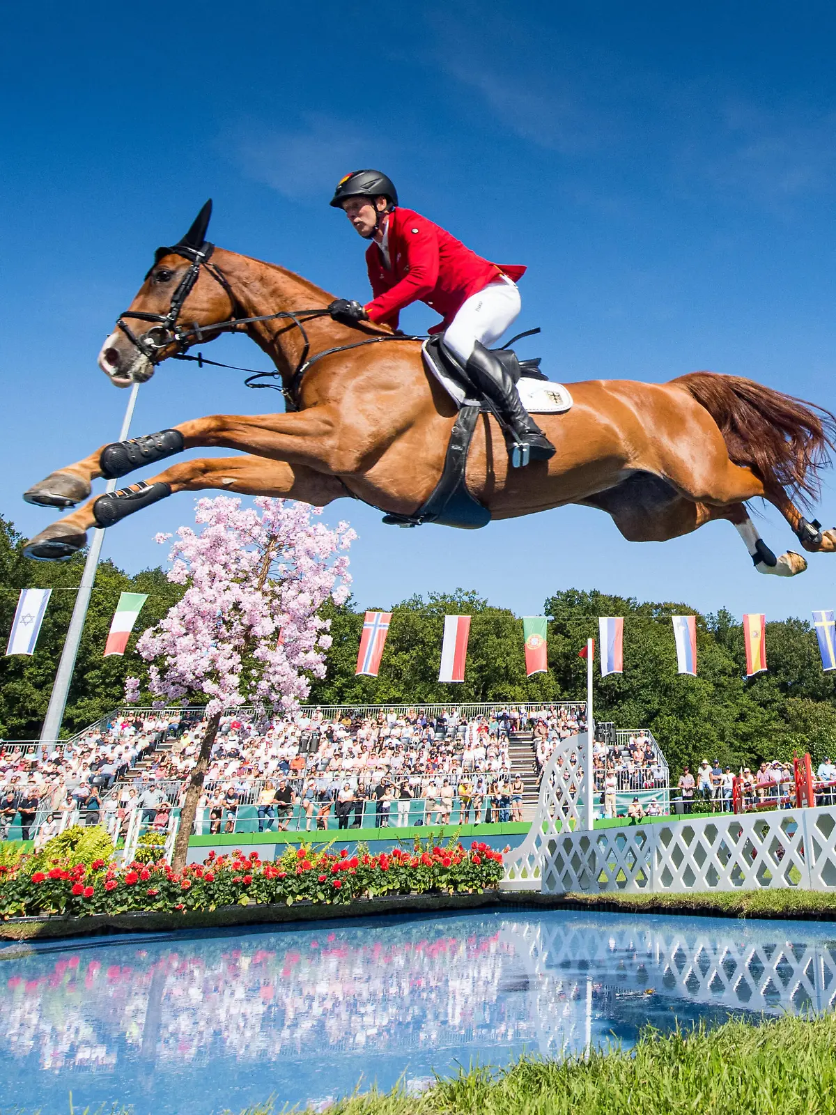 Pferdesport, Springreiten EM in Riesenbeck 210905 Andre Thieme of Germany with horse DSP Chakaria competes during the individual final on day 5 of the Equestrian FEI Jumping European Championship, EM, Europameisterschaft on September 5, 2021 in Riesenbeck. Photo: Petter Arvidson / BILDBYRAN / kod PA / PA0268 fei jumping european championship ridsport equestrian horse jumping jumping bbeng hoppning hästhoppning em *** 210905 Andre Thieme of Germany with horse DSP Chakaria competes during the individual final on day 5 of the Equestrian FEI Jumping European Championship on September 5, 2021 in Riesenbeck Photo Petter Arvidson BILDBYRAN kod PA PA0268 fei jumping european championship ridsport equestrian horse jumping jumping bbeng hoppning hästhoppning em, PUBLICATIONxNOTxINxSWExNORxAUT Copyright: PETTERxARVIDSON BB210905PA169