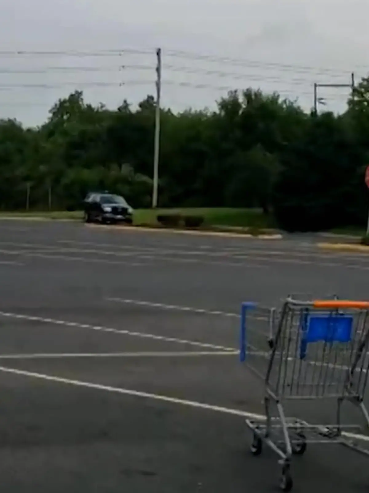 Der  US Amerikaner James Bargas bringt einen Einkaufswagen nur per gefühlvollem Anschupser dazu, das dieser wie von Geisterhand ganz allein  in sein Parkhäusschen rollt. - Quer über einen Parkplatz.
