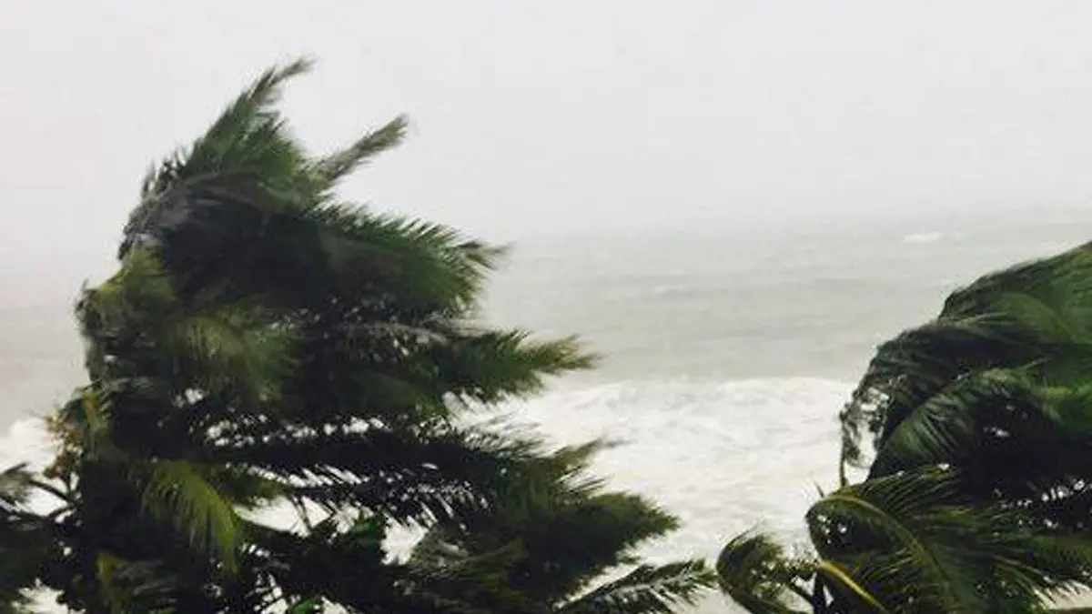 Palmen biegen sich am 07.03.2017 in Sambava auf der Insel Madagaskar im Sturm. Ein tropischer Wirbelsturm mit schweren Regenfällen traf den Nordosten des Inselstaats. Foto: Manny Horsford/AP/dpa +++(c) dpa - Bildfunk+++