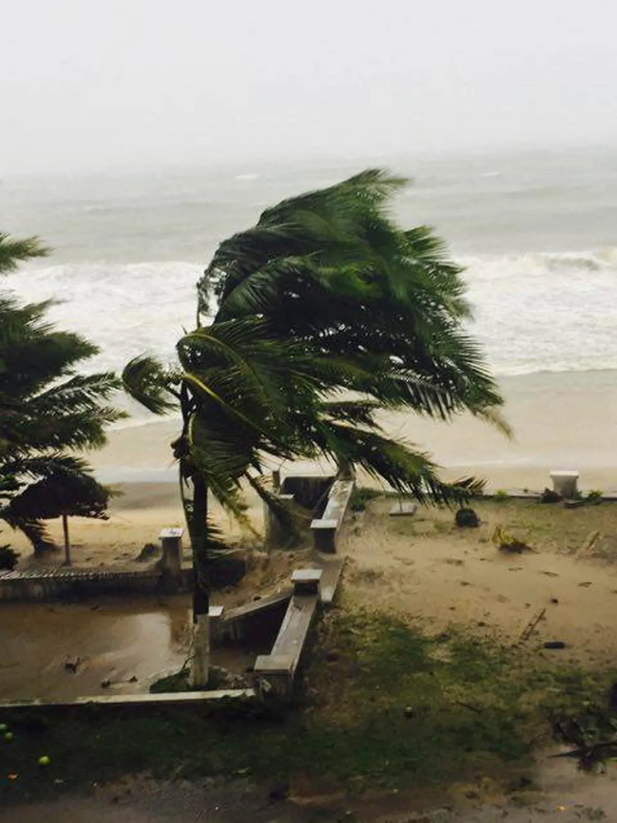 Palmen biegen sich am 07.03.2017 in Sambava auf der Insel Madagaskar im Sturm. Ein tropischer Wirbelsturm mit schweren Regenfällen traf den Nordosten des Inselstaats. Foto: Manny Horsford/AP/dpa +++(c) dpa - Bildfunk+++