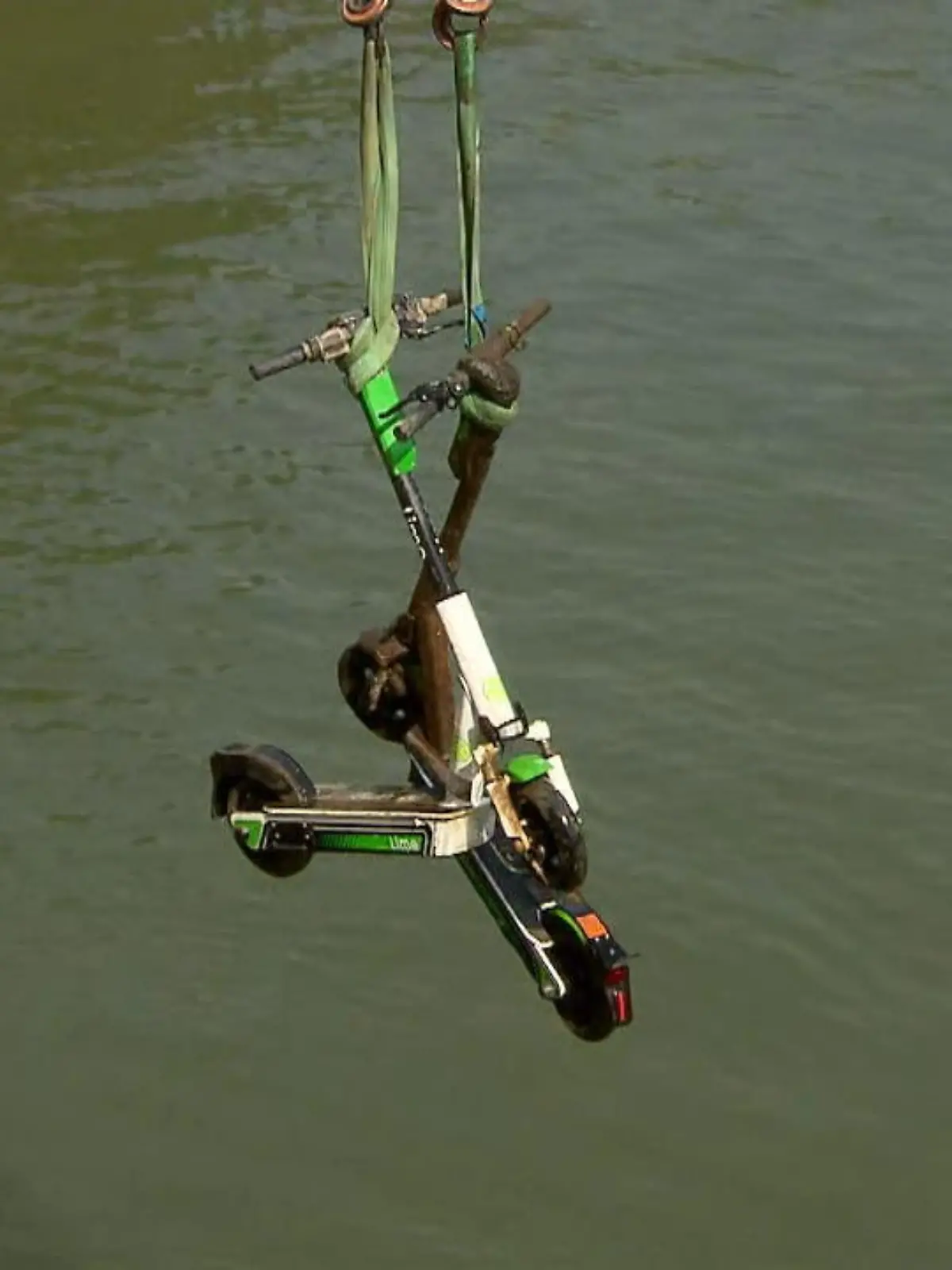 Bild zu: "Roller raus aus Rhein"