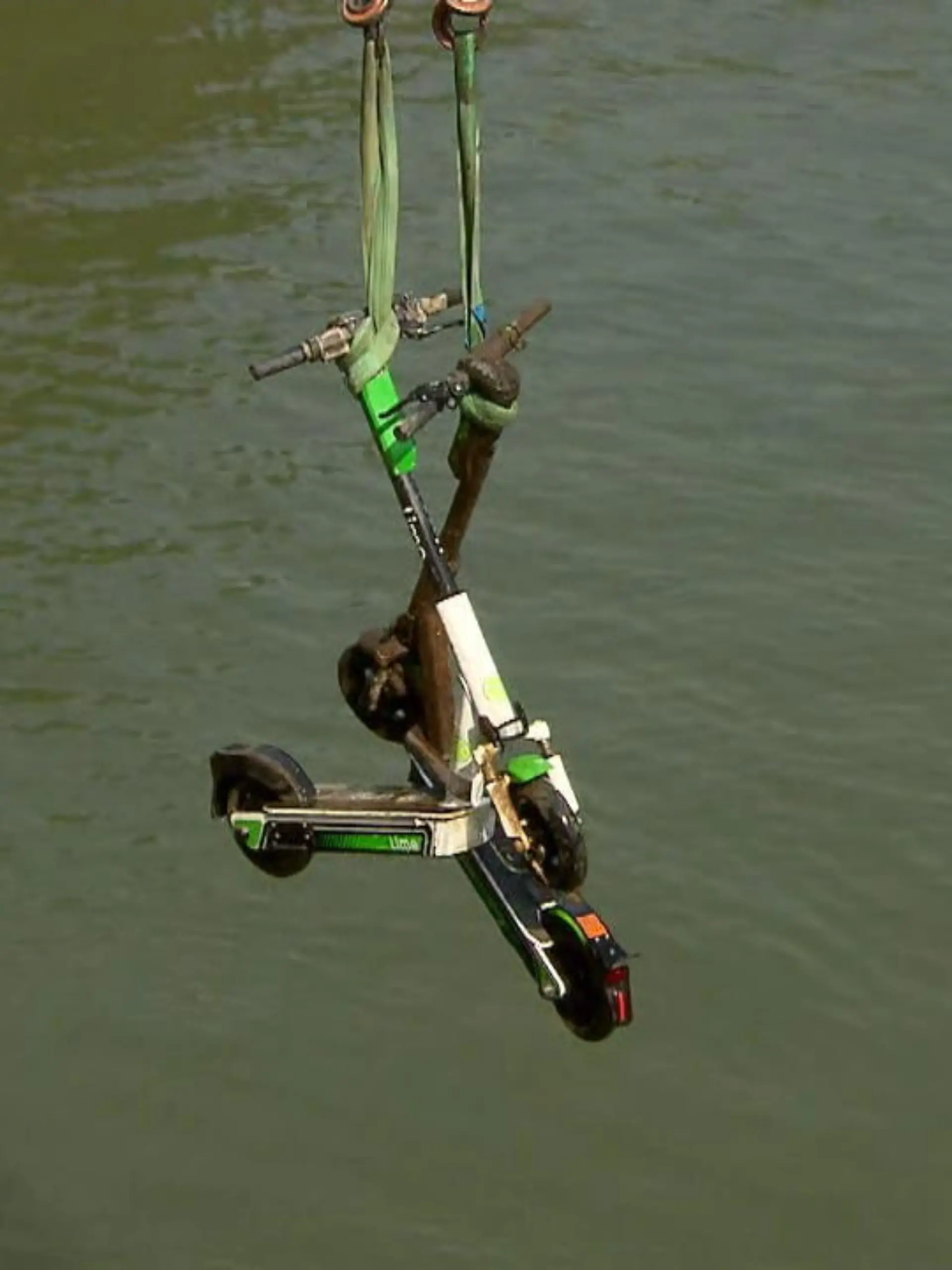Bild zu: "Roller raus aus Rhein"