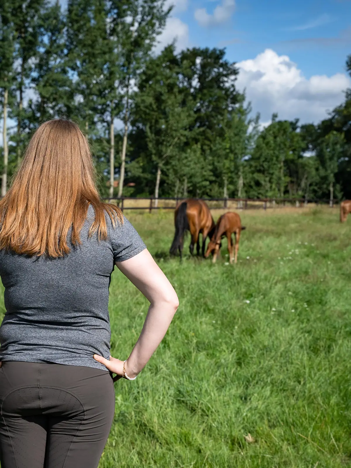 Die Begeisterung für Pferde und den Reitsport ist bei jungen Frauen weit verbreitet. Aufnahmen aus einer privaten Pferdezuchthaltung. Landwirtschaftliches Symbolfoto. || Modellfreigabe vorhanden