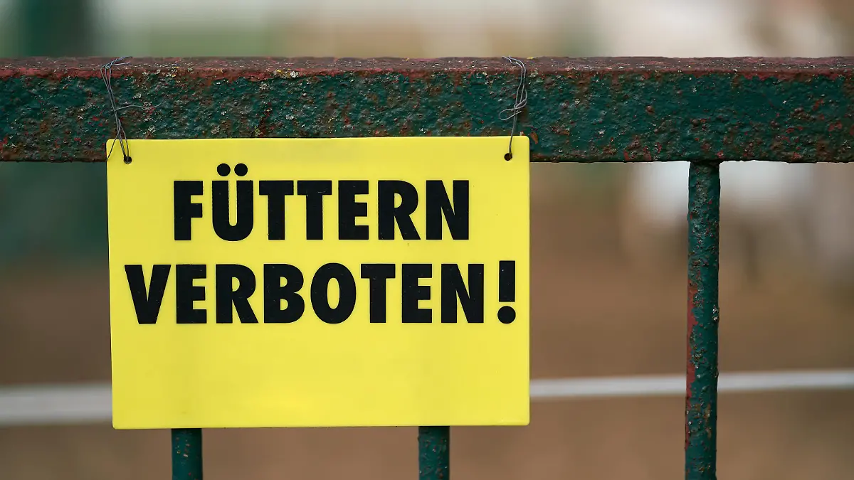 Schild mit der Aufschrift Füttern Verboten am Zaun zu einem Reitclub im Herrenkrug bei Magdeburg