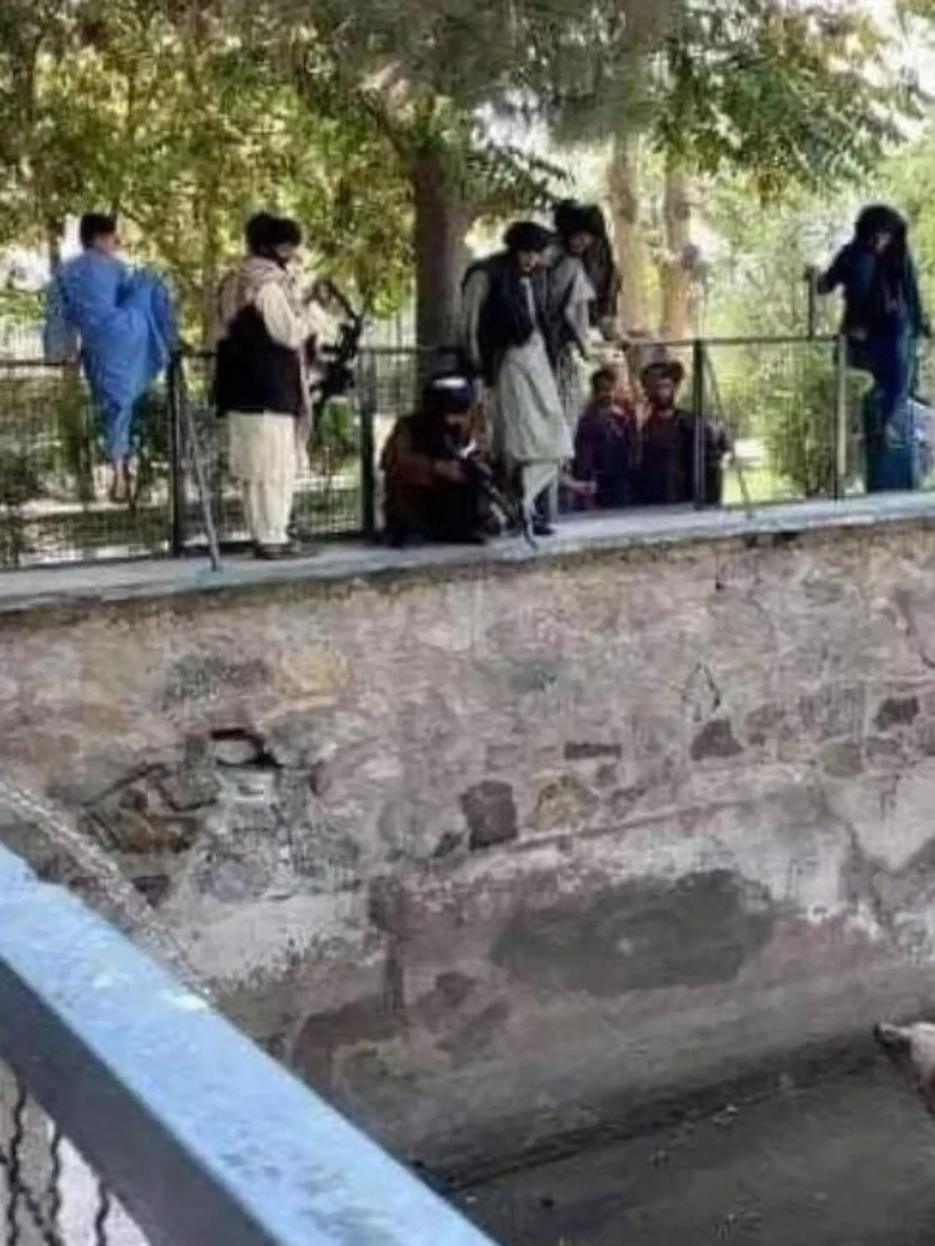 Ein Taliban-Kämpfer richtet sein Gewehr auf einen wehrlosen Bären.