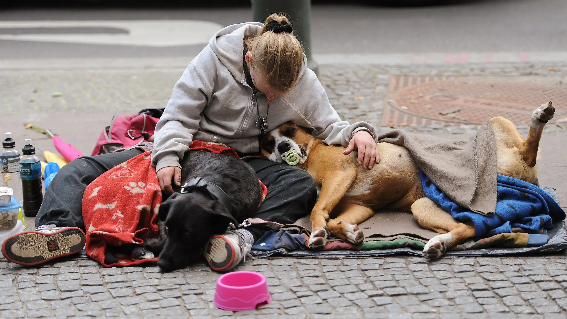 ARCHIV - ILLUSTRATION - Eine Frau sitzt am 20.07.2012 in Berlin mit ihren zwei Hunden am Straßenrand. Aus Geldmangel fühlen sich 5,3 Prozent der Menschen in Deutschland ausgegrenzt und arm. Sie können ihre Miete oder Rechnungen nicht rechtzeitig bezahlen, ihre Wohnung nicht ausreichend heizen, sich nicht mindestens jeden zweiten Tag eine vollwertige Mahlzeit leisten oder nicht in Urlaub fahren. Foto: Britta Pedersen (zu dpa 0266 "Gut fünf Prozent fühlen sich arm und ausgegrenzt" 23.10.2012) +++(c) dpa - Bildfunk+++
