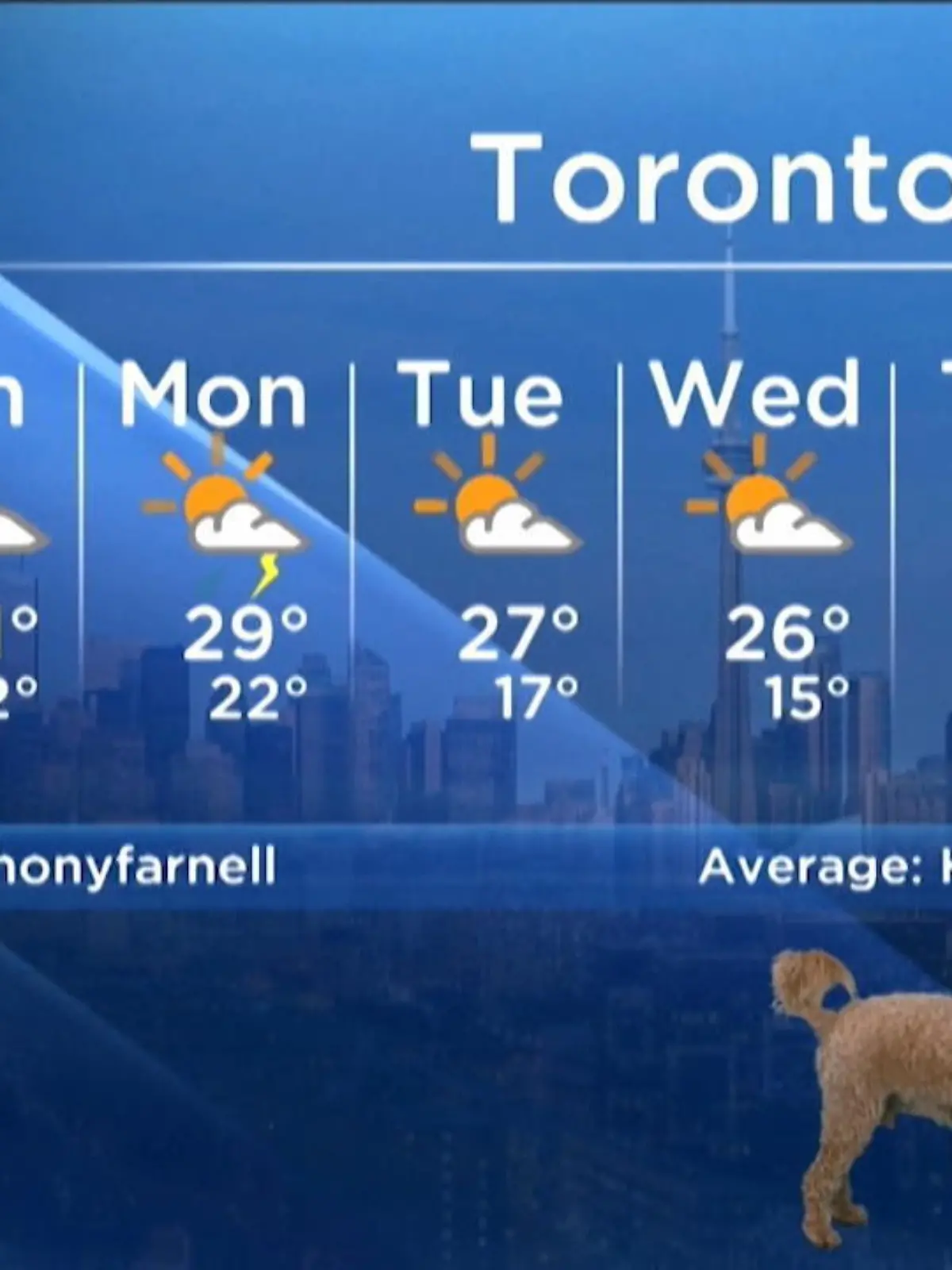 "Storm" macht seinem Namen alle Ehre und stürmt einfach mal den Wetterbericht des Senders "Global News"