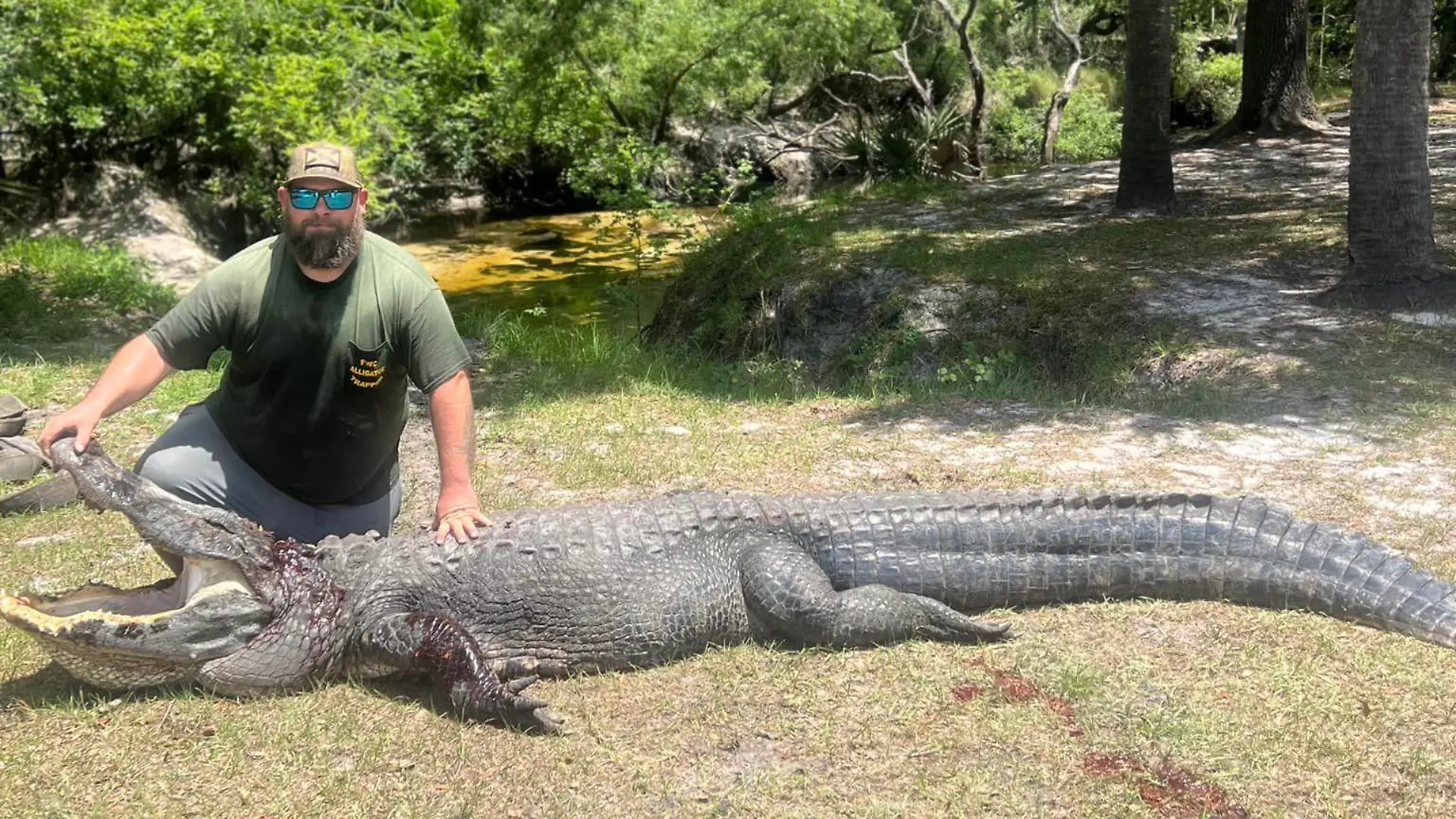 Aligator