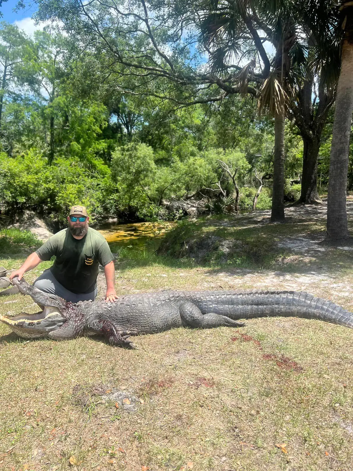 Aligator