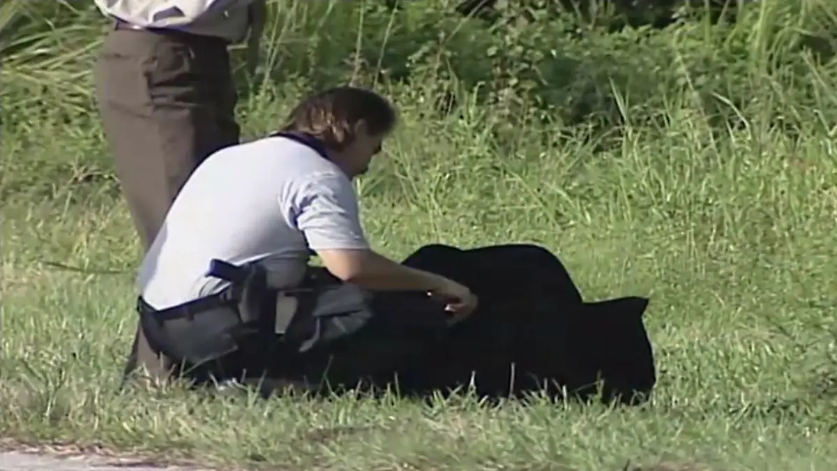 Die Polizei von Florida hat 15 Jahre nach seinem Tod einen Serienkiller überführt. Roberto Wagner Fernandes hat mindestens drei Frauen auf dem Gewissen - Ermittler gehen davon aus, dass es weitere Opfer gibt.