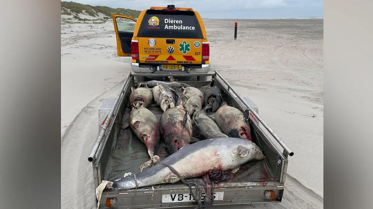 RTZ & Dierenambulance Ameland