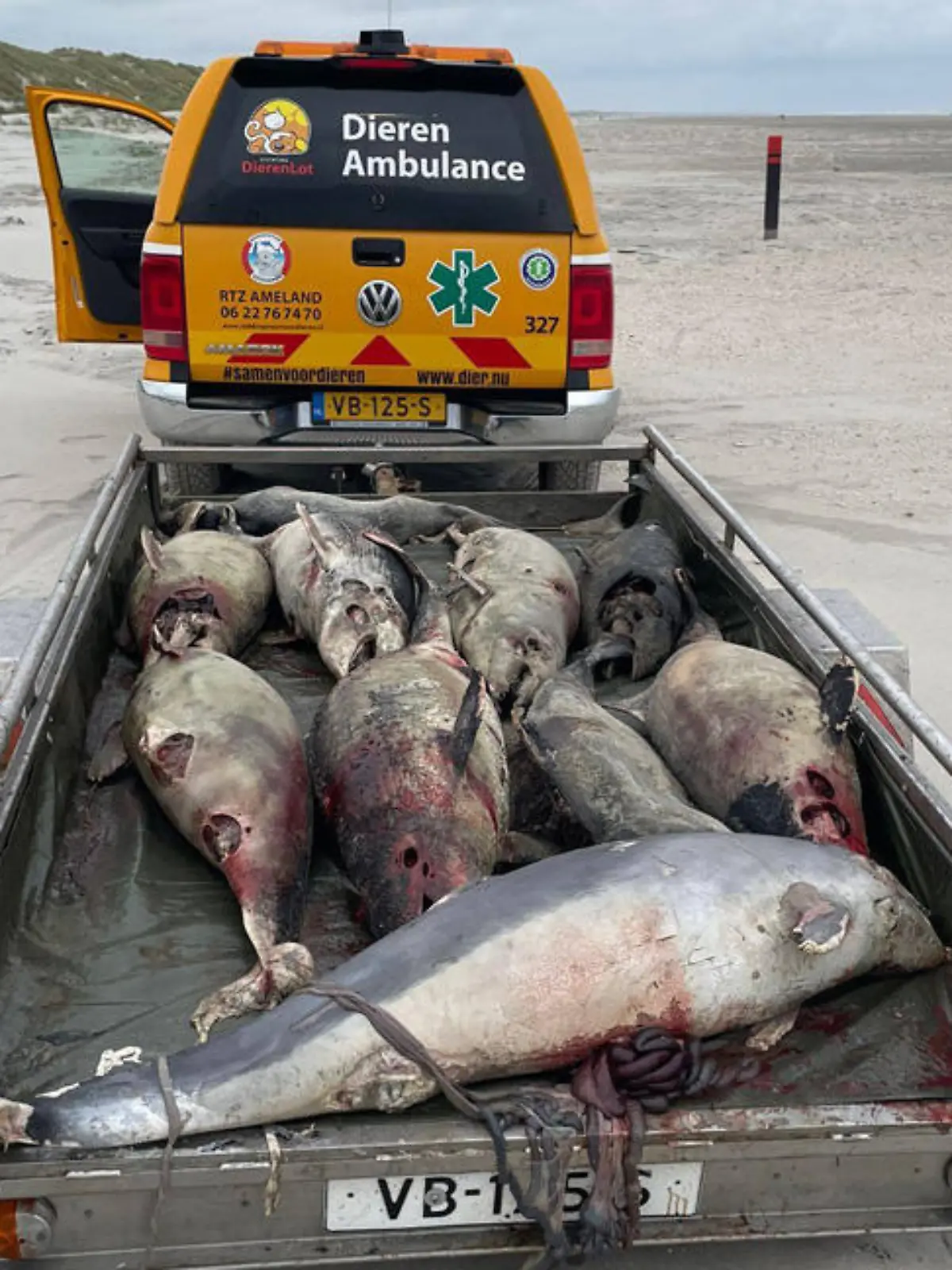 RTZ & Dierenambulance Ameland