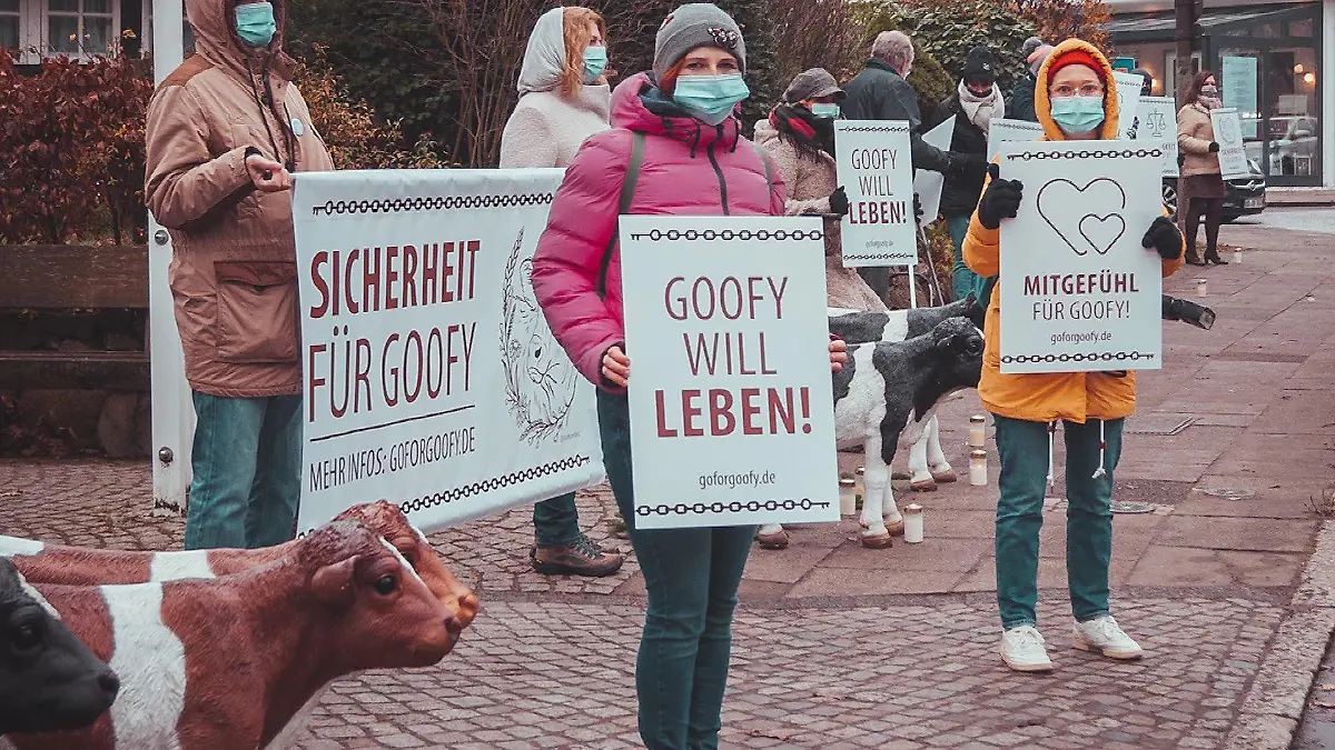 Hamburger Schulprojekt