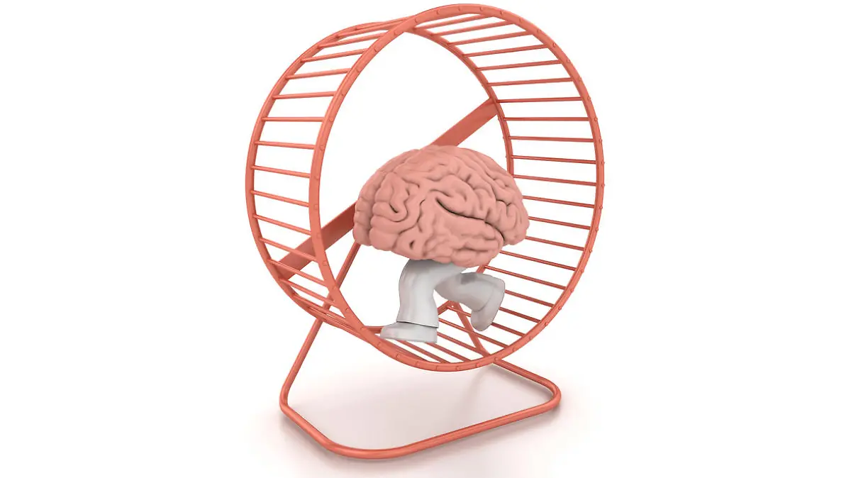 Human Brian Running on Exercise Hamster Wheel - 3D Rendering