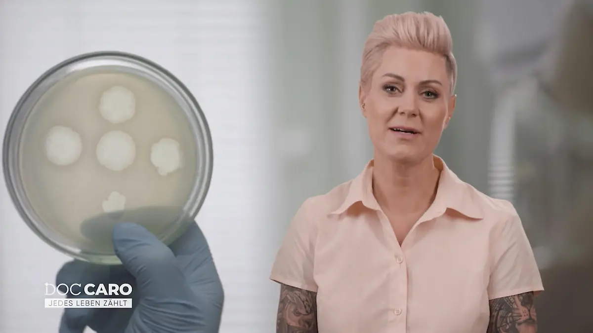 Die Phagentherapie könnte für viele eine Lösung sein Antibiotikaresistenz