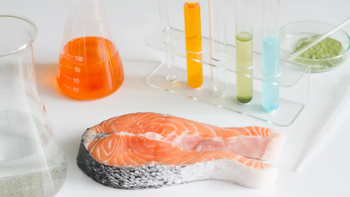 Test salmon fish in laboratory control of mercury and toxic dye closeup