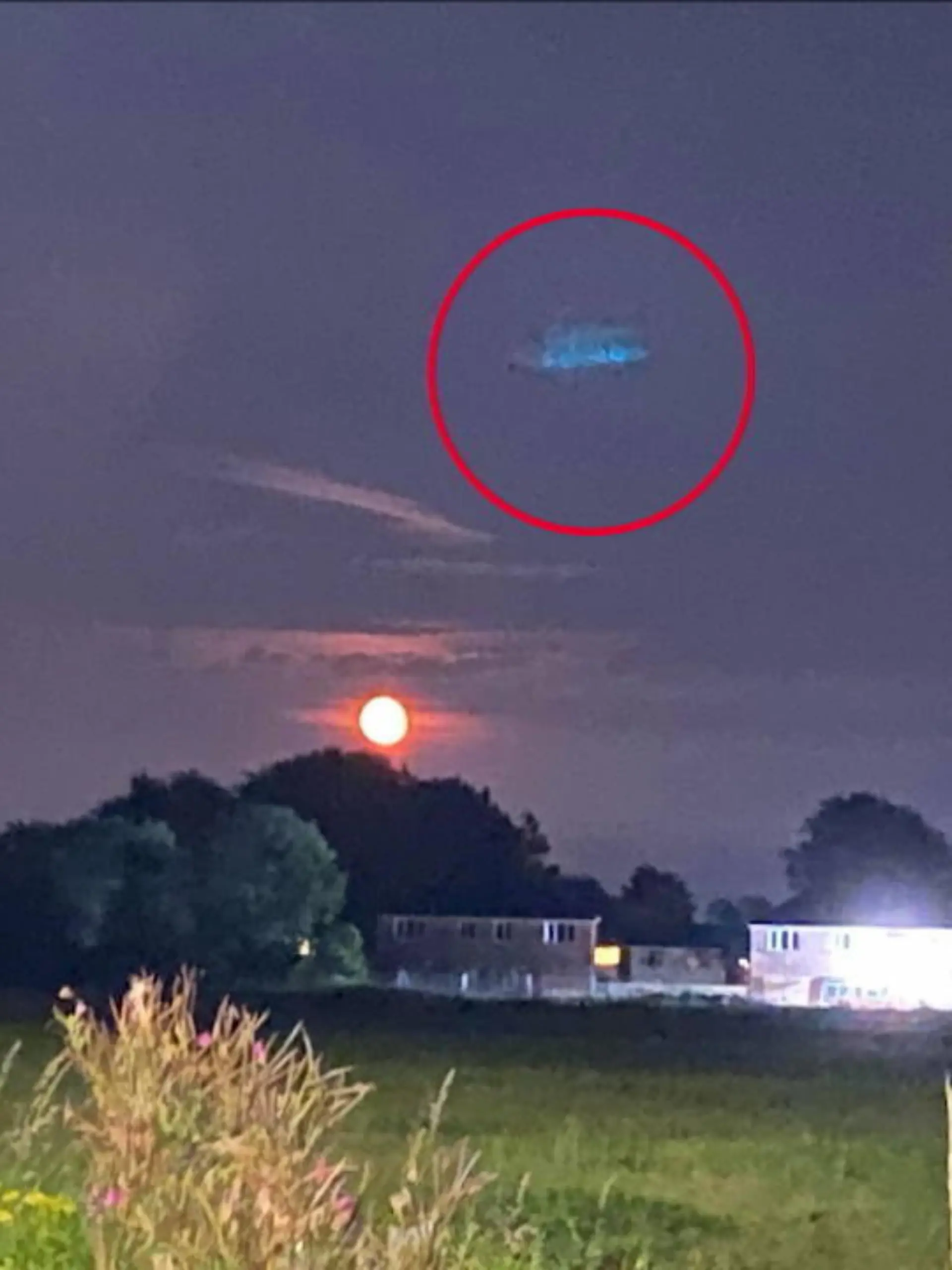 Bild zu: "Frau sicher: Ich habe ein Ufo gesehen!"