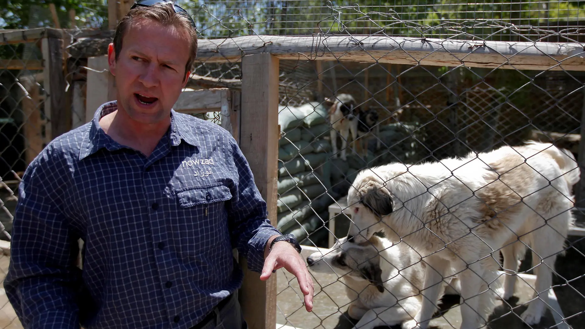 FILE PHOTO: Pen Farthing, founder of British charity Nowzad, an animal shelter, stands in front of a cage on the outskirts of Kabul May 1, 2012. A former Royal Marine, Farthing adopted his dog Nowzad, named after a Helmand district, during his tour there in 2006. He then set up the charity, where dogs and some cats are neutered and vaccinated against rabies before their journeys abroad. Nowzad has given homes to over 330 dogs since it was founded, mostly to soldiers from the U.S. and Britain, but also from South Africa, Australia, Canada and the Netherlands. Picture taken May 1, 2012. REUTERS/Omar Sobhani (AFGHANISTAN - Tags: ANIMALS SOCIETY)/File Photo