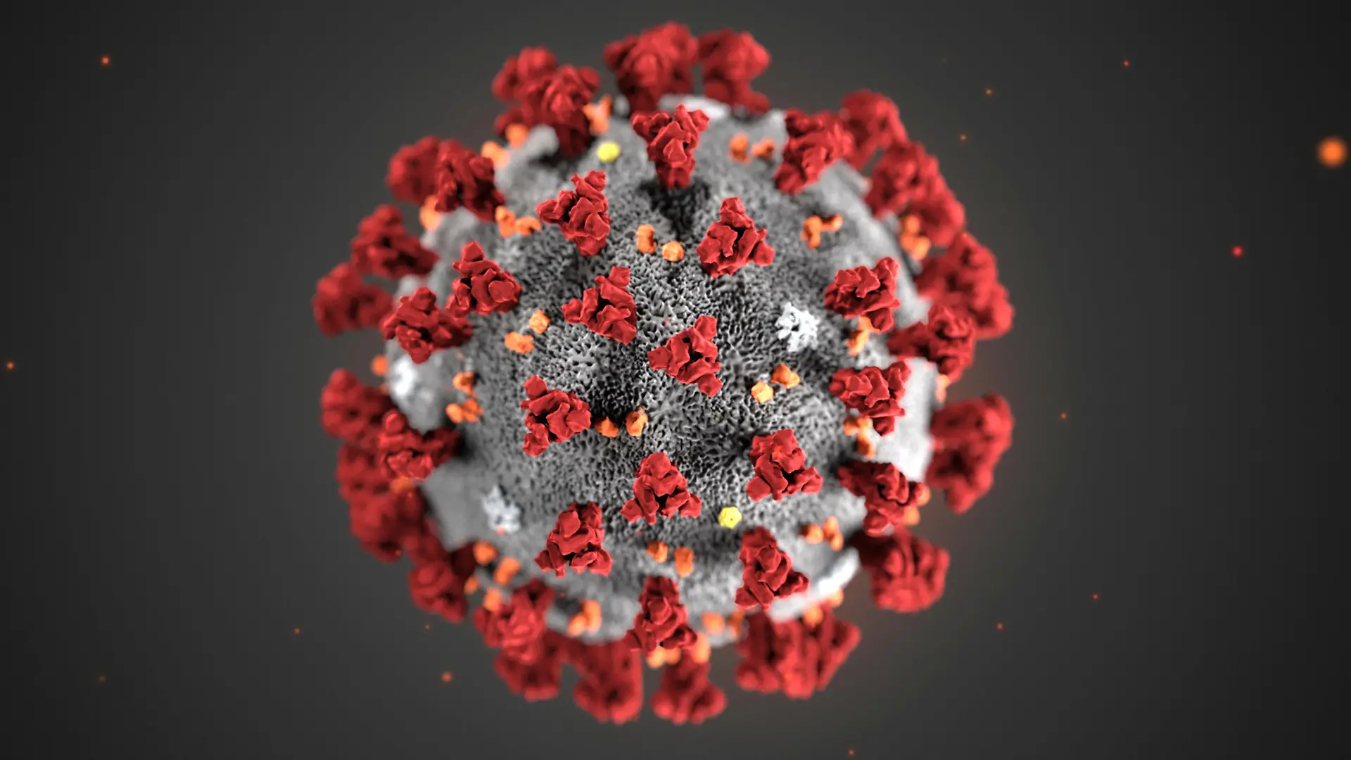 ARCHIV - 30.01.2020, USA, ---: HANDOUT - Diese von den Centers for Disease Control and Prevention (CDC) im Januar 2020 zur Verfügung gestellte Illustration zeigt das Coronavirus (2019-nCoV). (zu dpa «USA fordern weitere Untersuchung zum Ursprung des Coronavirus ») Foto: Uncredited/Centers for Disease Control and Prevention/AP/dpa - ACHTUNG: Nur zur redaktionellen Verwendung im Zusammenhang mit einer Berichterstattung über das Coronavirus und nur mit vollständiger Nennung des vorstehenden Credits +++ dpa-Bildfunk +++