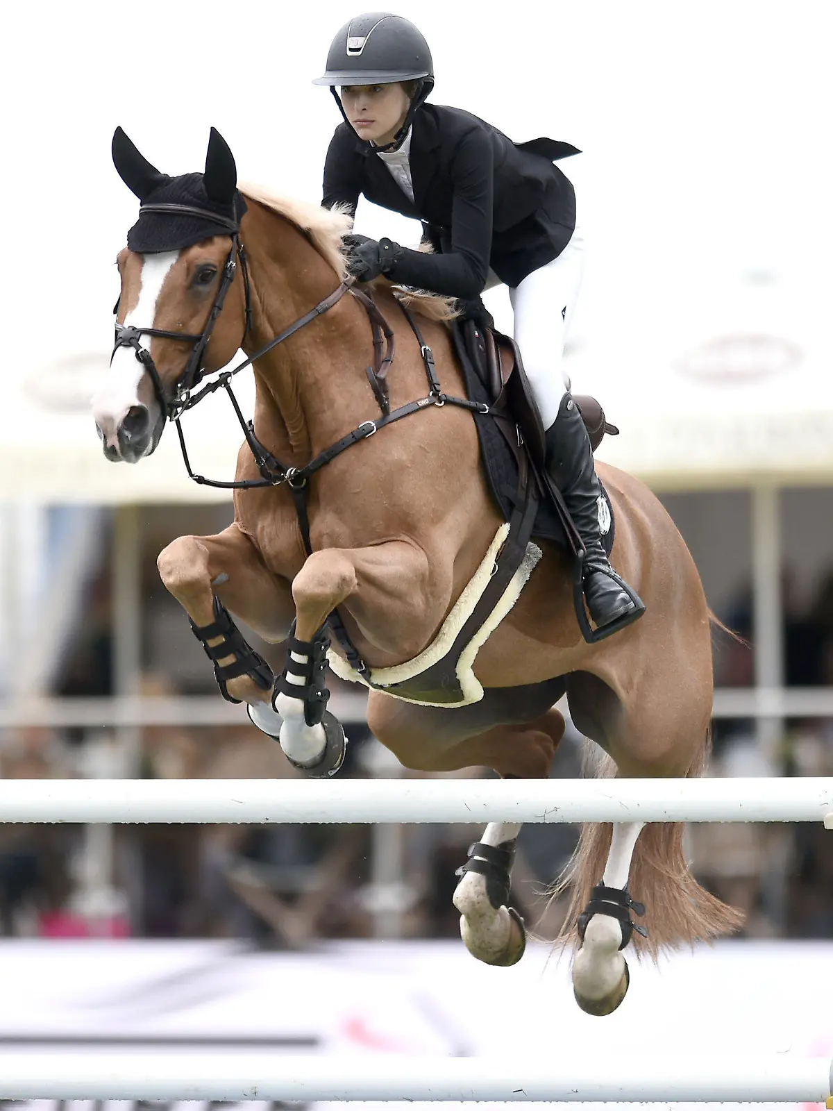 28.08.2021, Hamburg: Pferdesport/Springen: Global Champions Tour, Großer Preis, Springprüfung mit Stechen. Eve Jobs aus den USA springt mit Venue d'Fees Des Hazalles über ein Hindernis. Foto: Michael Schwartz/dpa +++ dpa-Bildfunk +++