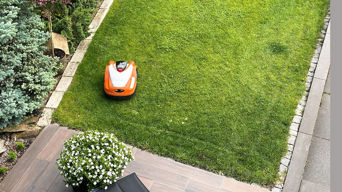 Mähroboter mäht den Garten.