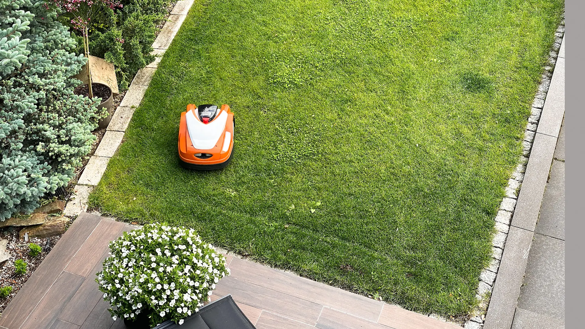 Mähroboter mäht den Garten.