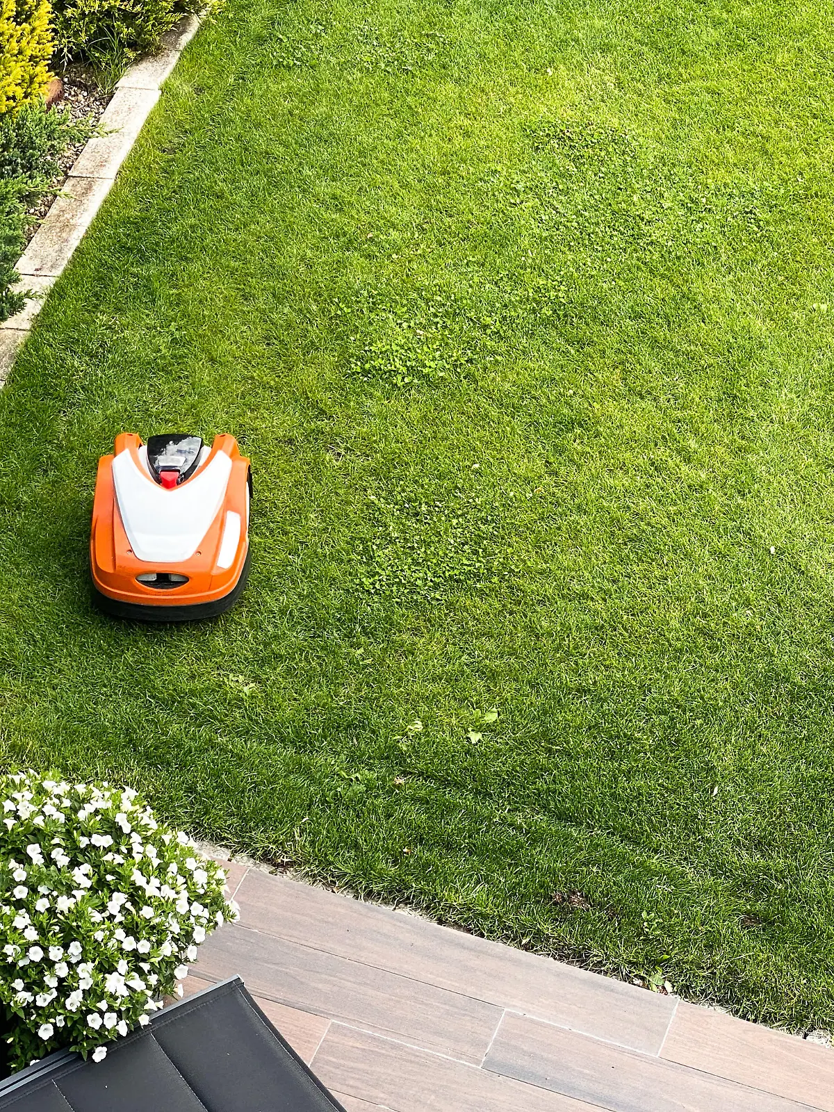 Mähroboter mäht den Garten.