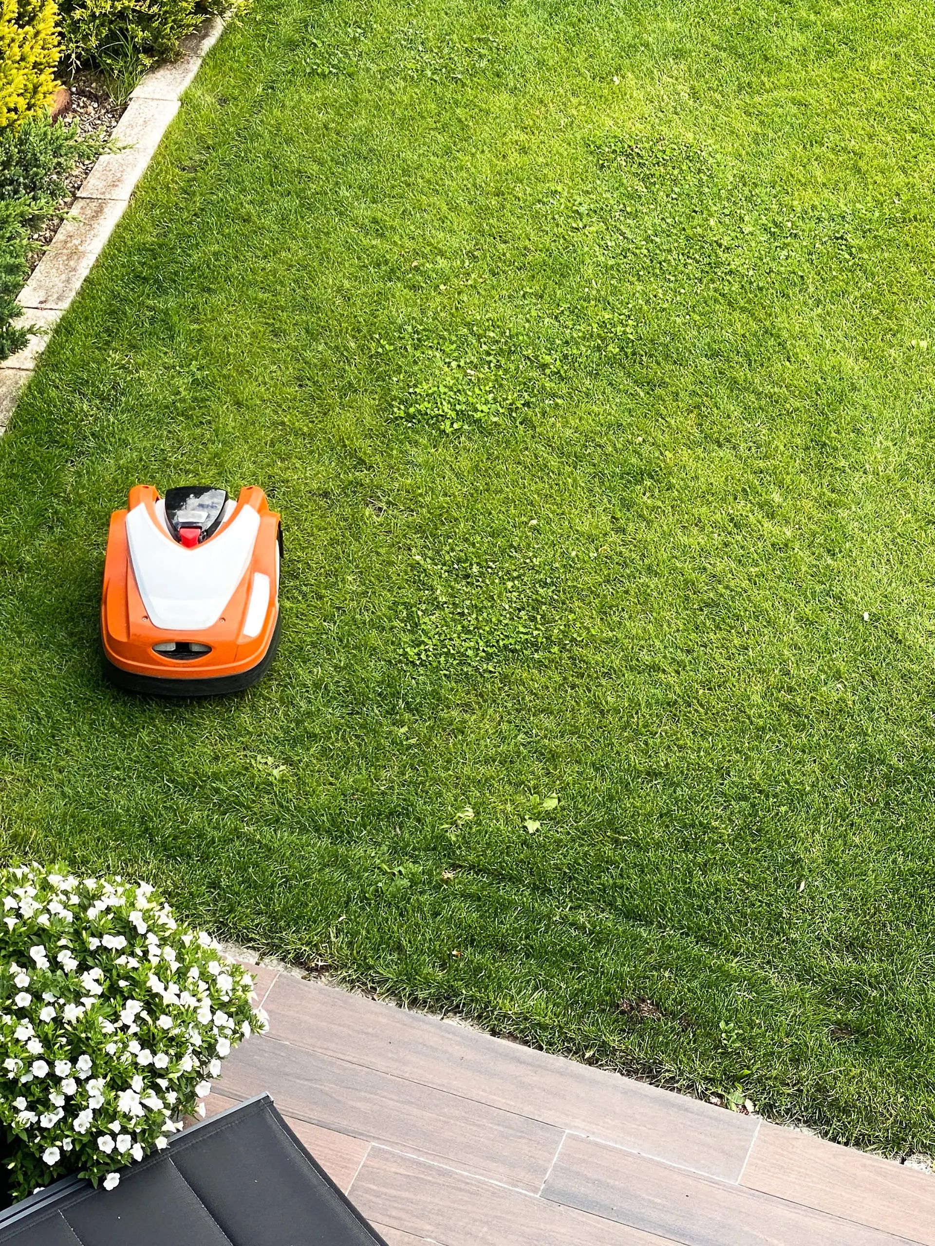 Mähroboter mäht den Garten.