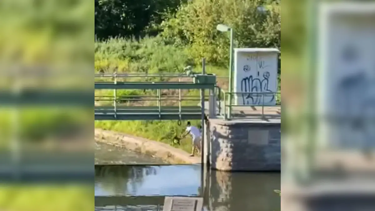 Kopfüber wirft der Mann seinen Hund in den Fluss, dokumentiert in Zeugen vor Ort.