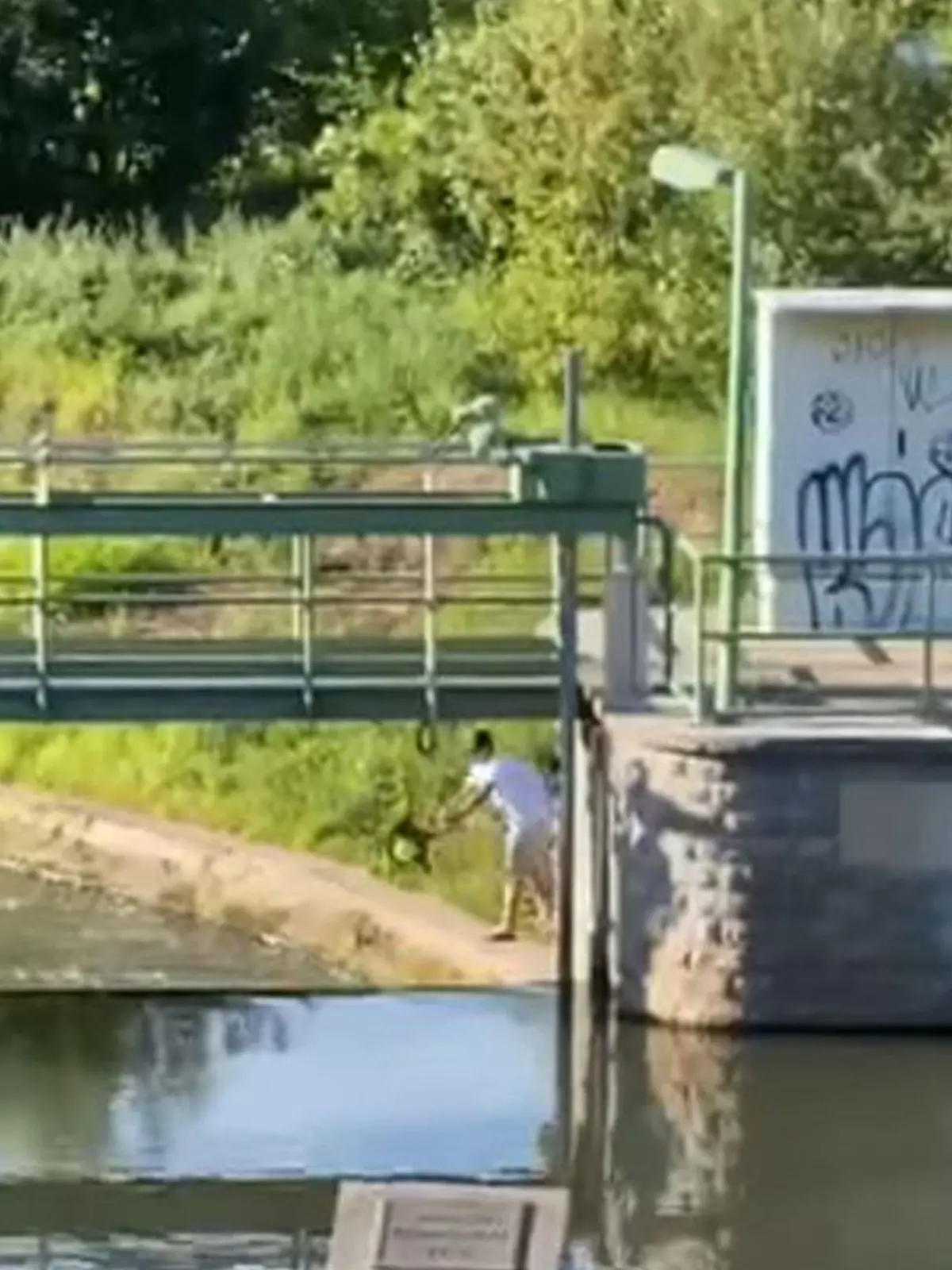 Kopfüber wirft der Mann seinen Hund in den Fluss, dokumentiert in Zeugen vor Ort.