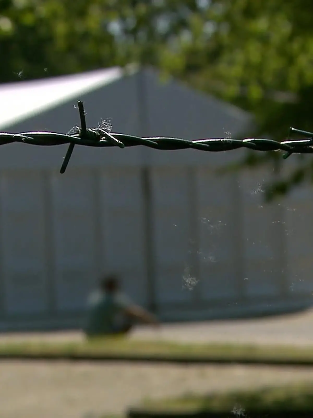 Bild zu: "Haftstrafe in Heimat absitzen - Idee stößt auf Gegenwind"
