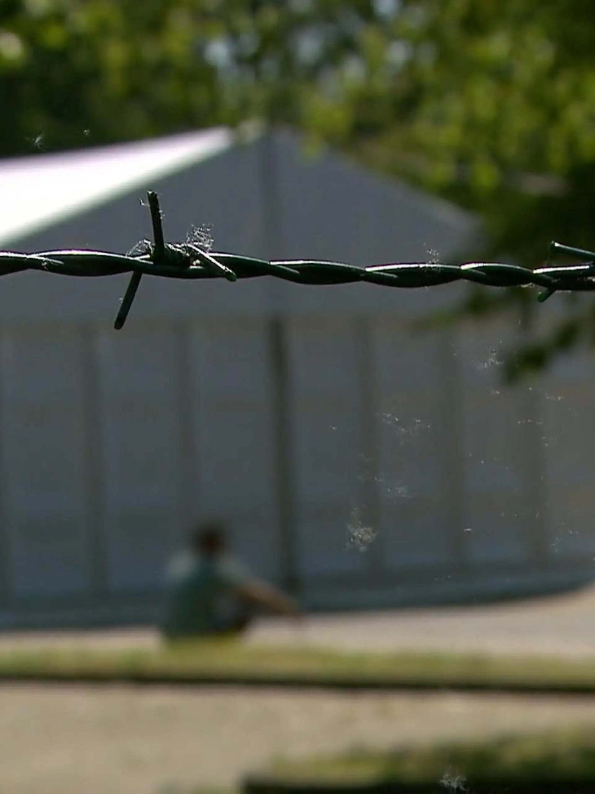 Bild zu: "Haftstrafe in Heimat absitzen - Idee stößt auf Gegenwind"
