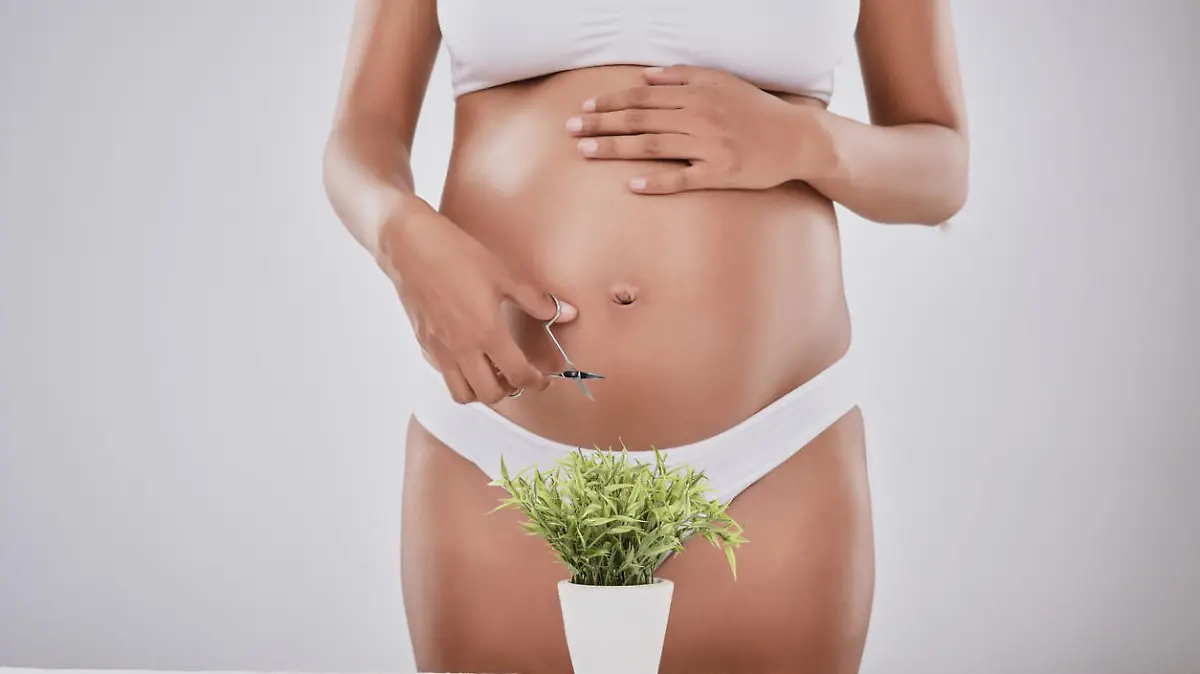 Cropped studio shot of a pregnant woman trimming a plant with scissors against a gray background
