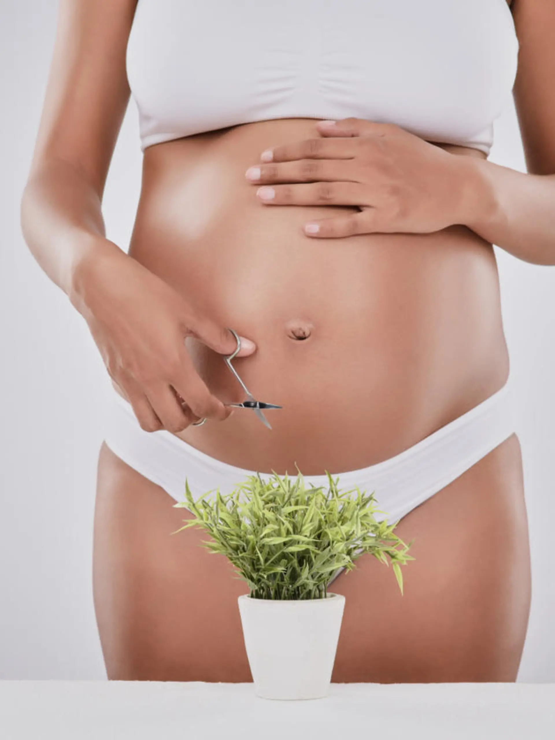 Cropped studio shot of a pregnant woman trimming a plant with scissors against a gray background