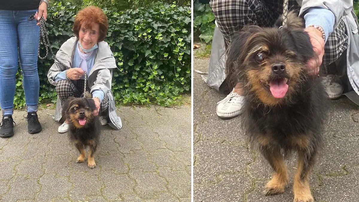 Hunde-Opi mit seinem neuen Frauchen: Christine Berg aus Köln.