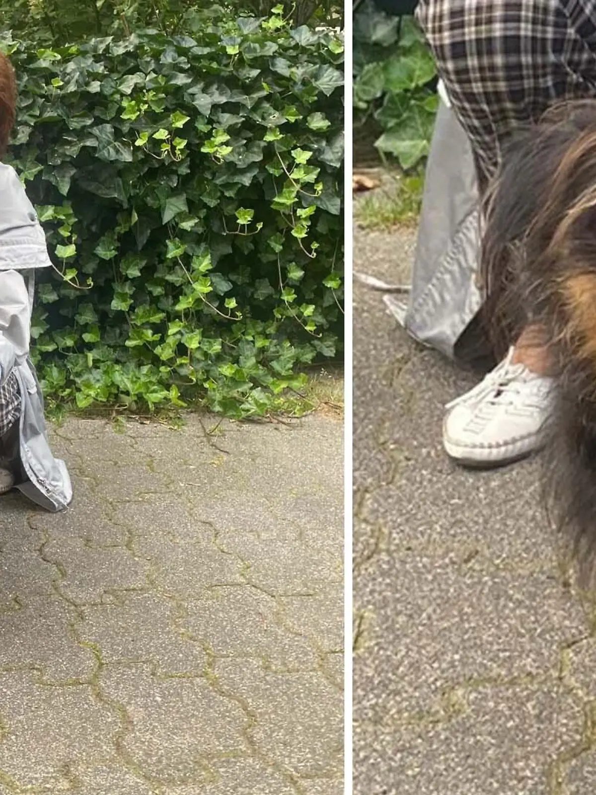Hunde-Opi mit seinem neuen Frauchen: Christine Berg aus Köln.