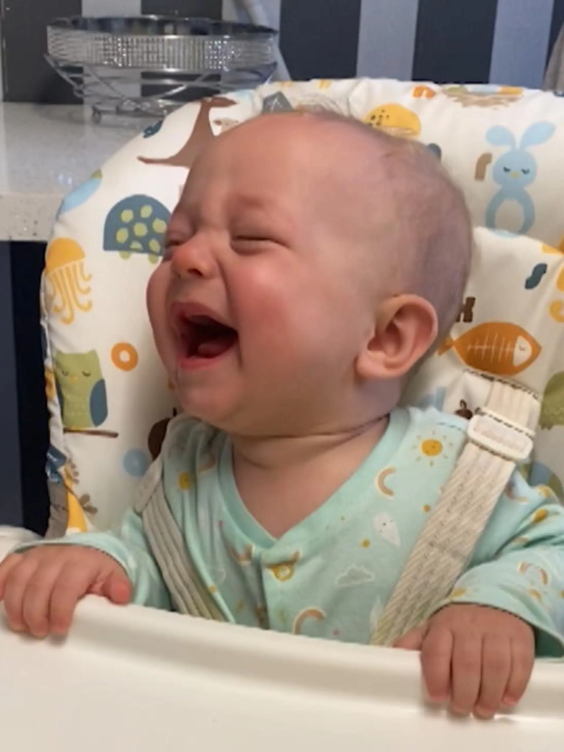 Bild zu: "Baby hat zuckersüßen Lachflash"