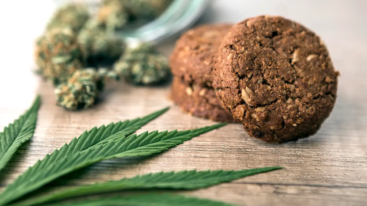Marijuana Cookie on wooden table with cannabis buds in background