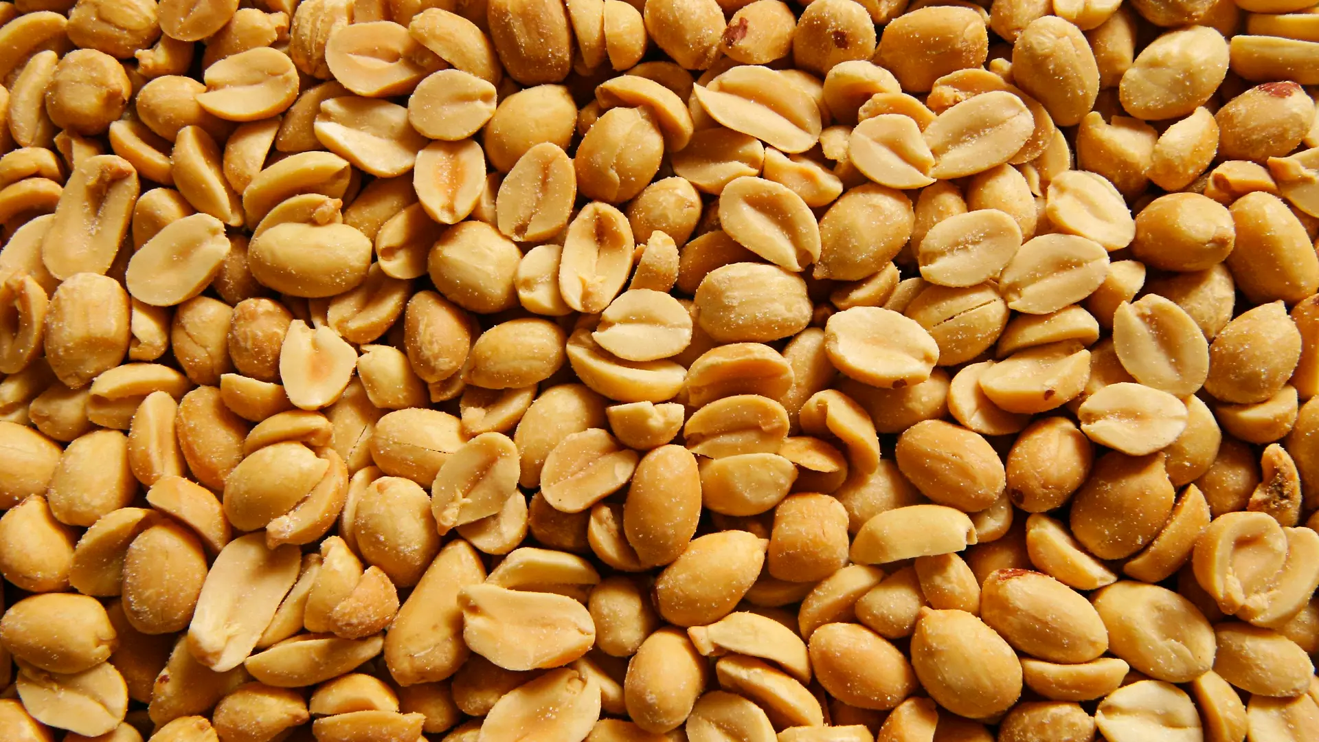 Erdnuss, Erd-Nuss, Aschantinuss, Arachisnuss, Kamerunnuss (Arachis hypogaea), gesalzene Erdnuesse | ground-nut, peanut (Arachis hypogaea), salted peanuts