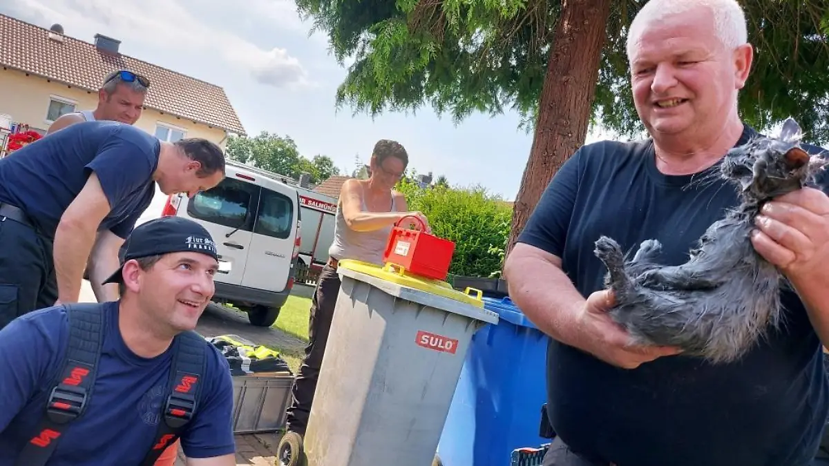 Feuerwehr Bad Soden-Salmünster befreit Kater aus misslicher Lage.