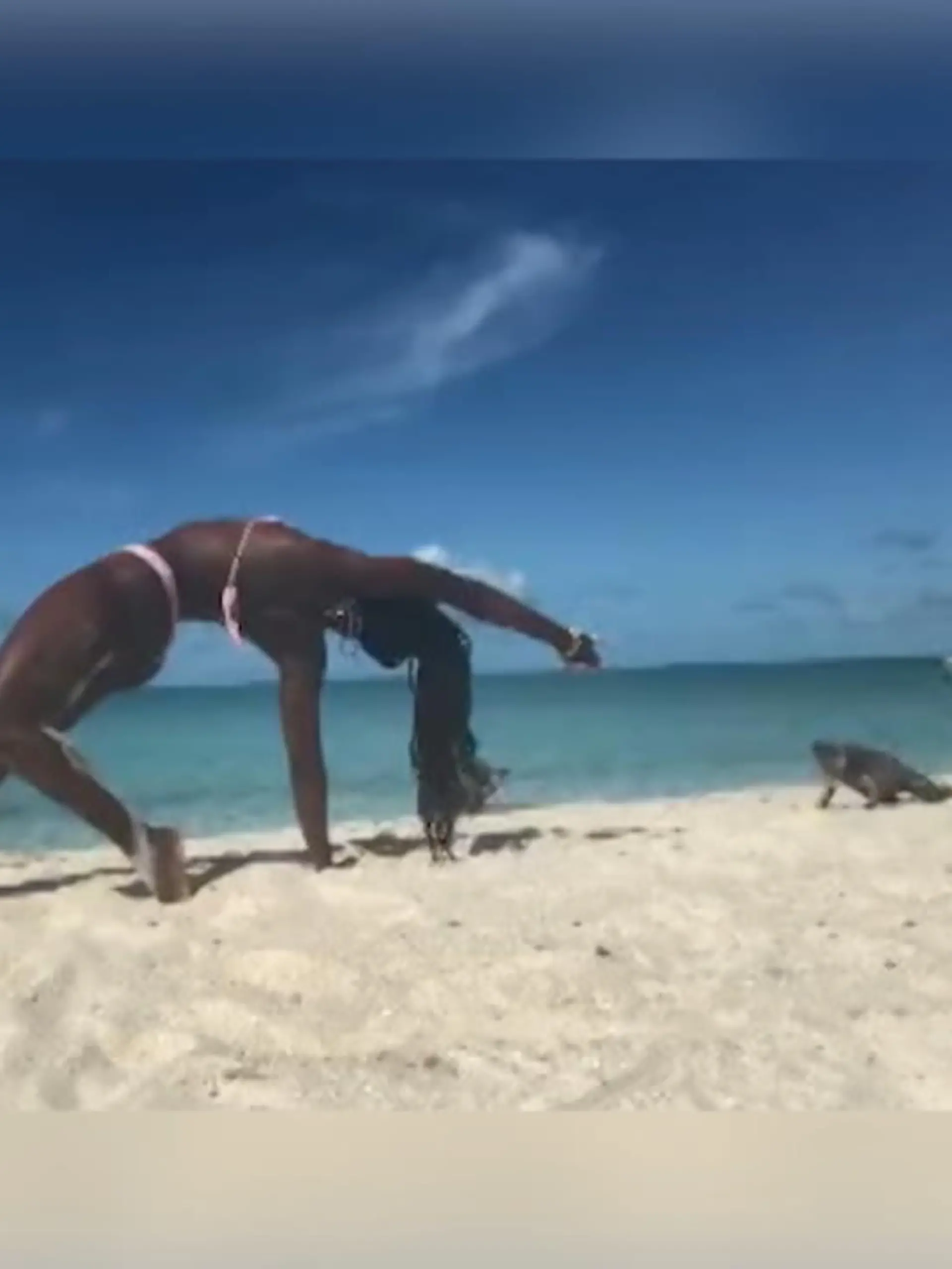 Bild zu: "Leguan beißt Frau beim Yoga am Strand"