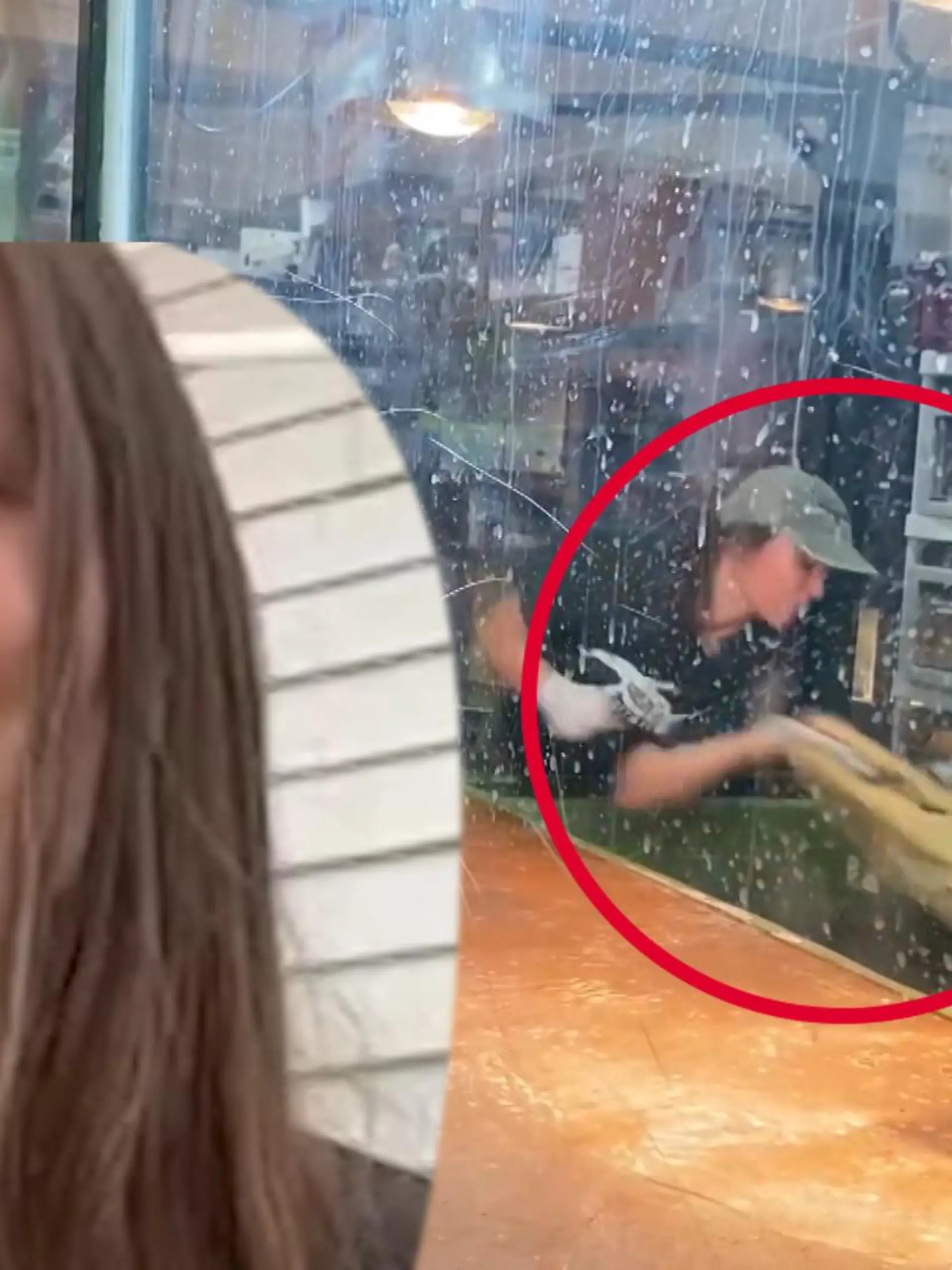 Bild zu: "Tierpflegerin kann wieder lachen"