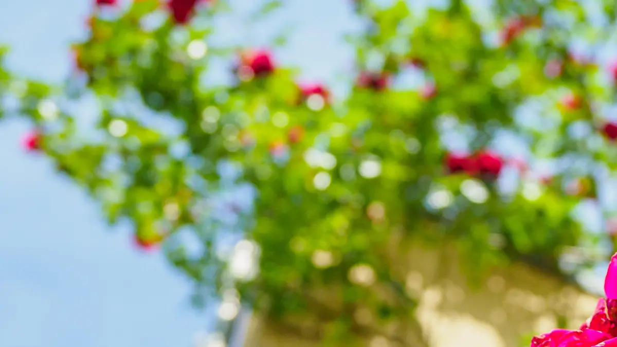 Blühende Rosen hängen am 12.06.2017 in Bamberg (Bayern) unter blauen Himmel von einem Balkon herab. Foto: Nicolas Armer/dpa +++(c) dpa - Bildfunk+++