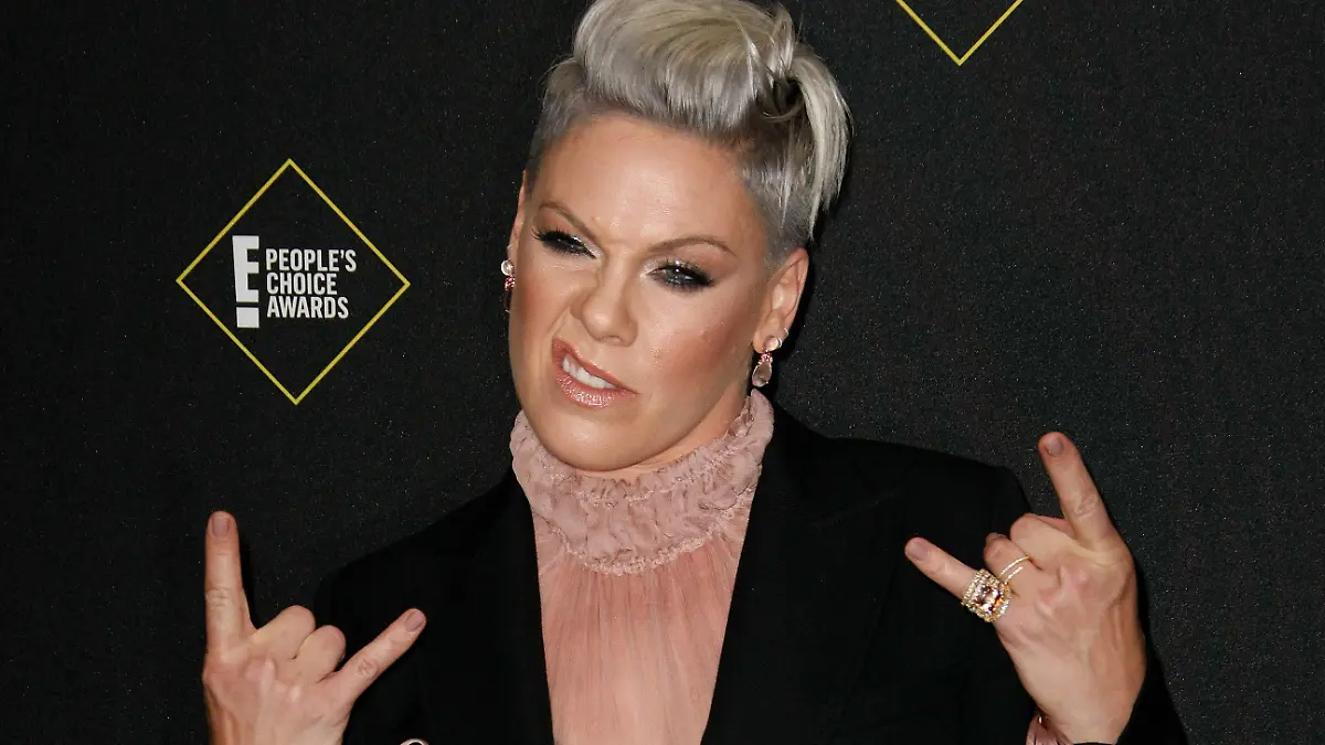 10.11.2019, USA, Santa Monica: Pink, Sängerin aus den USA, kommt zu den Peoples Choice Awards. Die Sängerin hat den Preis "Peoples Champion Award" für ihre gemeinnützige Tätigkeiten gewonnen. Foto: Imagespace/ZUMA Wire/dpa +++ dpa-Bildfunk +++
