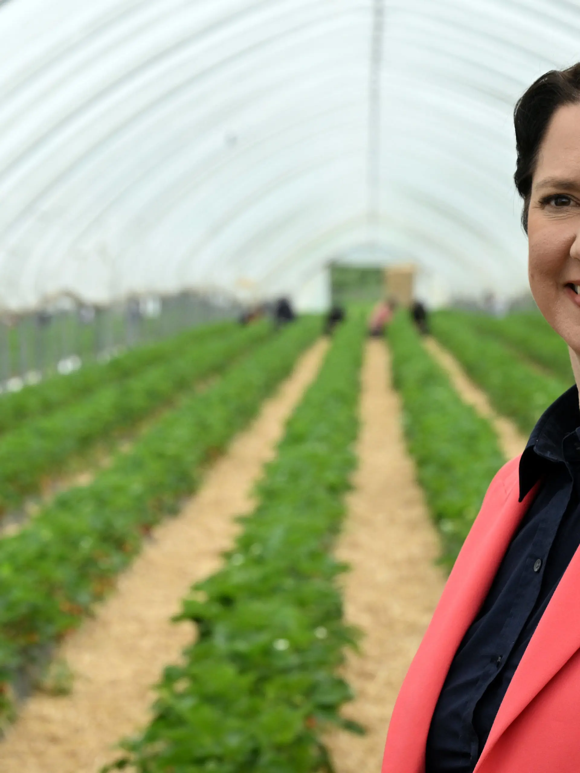 11.05.2023, Nordrhein-Westfalen, Bottrop: Silke Gorißen (CDU), Landwirtschaftsministerin von Nordrhein-Westfalen, steht in einem Folientunnel mit Erdbeerpflanzen. Die ersten Erdbeeren sind reif. Seit einigen Wochen werden die ersten Früchte angeboten. Diese Erdbeeren kommen aus geschütztem Anbau in Folientunneln oder Gewächshäusern. Foto: Federico Gambarini/dpa +++ dpa-Bildfunk +++