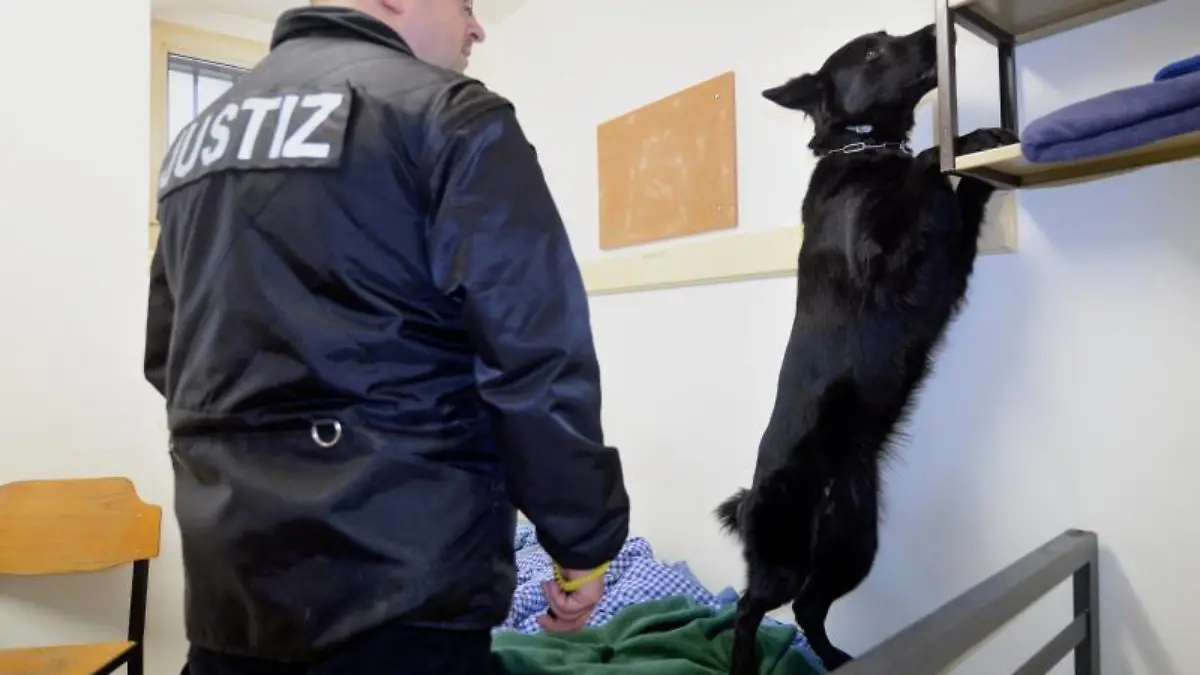 Spürhund sucht Handy in der JVA