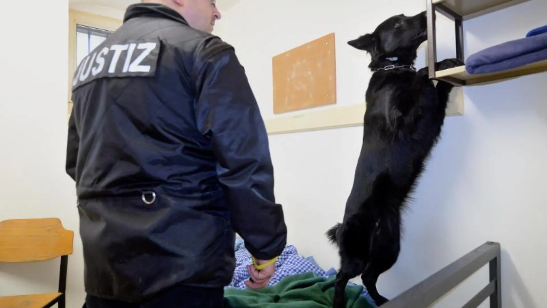 Spürhund sucht Handy in der JVA