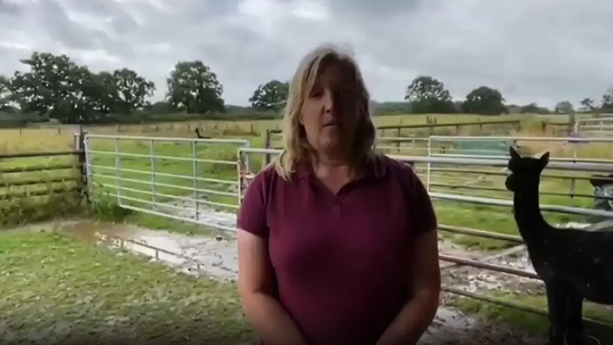 England: Alpaka Geronimo muss sterben