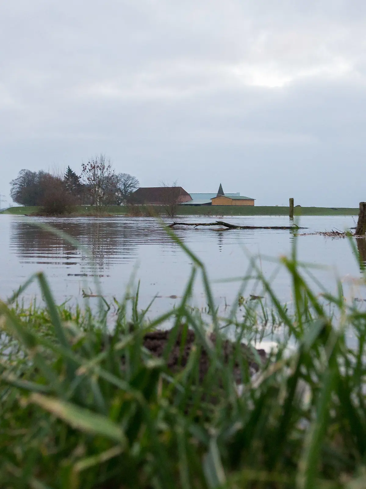Durch das Hochwasser der Weser sind am 15.12.2017 in der Nähe von Verden (Aller; Niedersachsen) die Wiesen überflutet. Foto: Mohssen Assanimoghaddam/dpa +++(c) dpa - Bildfunk+++